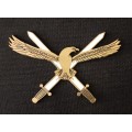 SAAF HQ -- SOUTH AFRICAN AIR FORCE HEADQUARTER BADGE        V116