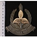 9TH SOUTH AFRICAN DIVISION BADGE                        V122