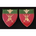 SADF SOUTHERN CAPE COMMAND SHOULDER FLASHES    (One Pin Repaired )        D164