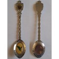 Vintage Souvenir Spoon -Augrabies Falls - Cape Glossy Starling