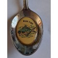Vintage Souvenir Spoon -Lange Baan  -  Blue Fish