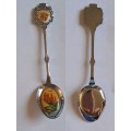 Vintage Souvenir Spoon -George -  Aloe