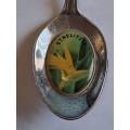 Vintage Souvenir Spoon -Aventura Aldam -  Strelitzia
