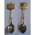 Vintage Souvenir Spoon -Wes Transvaal