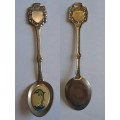 Vintage Souvenir Spoon -Blank Plaque -  Dolphin Picture