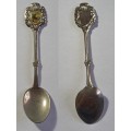 Vintage Souvenir Spoon -The Comores
