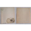 1 Piece Unused -  Double sided paper  30cm x 30cm  Bird/Writing