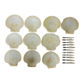 Queen scallop sea shells and shellfish forks