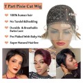 Lace Frontal 13x1 Peruvian Hair Wig t-part short Pixie cut black