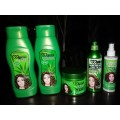 Wonder Professional hair products kit Aloe Vera Shampoo,Conditioner,hair mask,daily cream,hair spray
