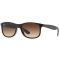 ***Ray Ban**RB 4202 ANDY 6073/13 (last pair)