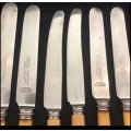 Bone handled knives(CUT1509)