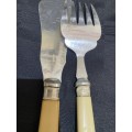Food Servers cutlery bone handled(E)