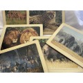 Placemats African animals