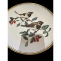 Plate display birds
