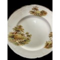 Plates dinner Alfred Meakin each
