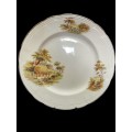Plates dinner Alfred Meakin each