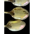 Teaspoons Apostle(R)