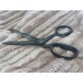 Scissors vintage(C)