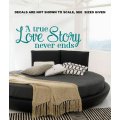 FREE SHIP/LOW COURIER - LOVE STORY ROMANTIC QUOTE WALL STICKER - 60+ COLOURS