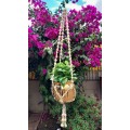 Hanging sea shell bead basket for pot planter handmade