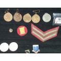 A COLLECTION OF MILITARY INSIGNIA AND OTHER BADGES SOLD AS IS