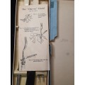 A VINTAGE HARRIS MELLON SHEFFIELD CARVING SET WITH ITS ORIGINAL PAMPHALET INSTRUCTIONS AND BOX SOLD
