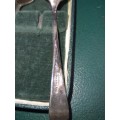 AN ANTIQUE EPNS TEASPOON SET CASED MADE IN SHEFFIELD ENGLAND SOLD AS IS
