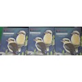 3 HIGHLY COLLECTABLE MAXWELL AND WILLIAMS DESIGNER HOMEWARE BIRDS OF THE WORLD