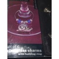 A SET OF WINE GLASS CHARMS ON A RING IN ITS ORIGINAL PACKAGING SOLD AS IS