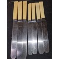 AN ANTIQUE COLLECTION KITCHENALIA BONE HANDLED KNIVES SOLD AS IS