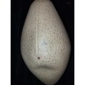 A COLLECTOR`S RUGBY BALL SOLD AS IS