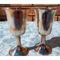 TWO JUDAICA WINE FLUTES SOLD AS IS