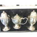 A ANTIQUE COLLECTORS SALT AND PEPPER DISPENSERS SET IN ITS ORIGINAL CASE SOD AS IS