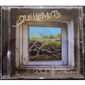 Guillemots - Through the Window Pane