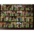 Complete 2003 ICC Cricket World Cup South Africa tazo collection