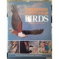 Everyone`s Guide to South African Birds ~ Sinclair / Mendelsohn