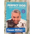 How To Raise The Perfect Dog ~ Cesar Millan