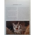 The Complete Book of Southern African BIRDS ~ STRUIK PUBLISHING