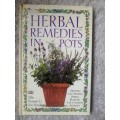 Herbal remedies in pots