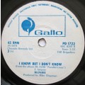 BLONDIE - SUNDAY GIRL / I KNOW BUT I DONT KNOW  (7 SINGLE/VINYL)