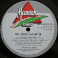DAVID KRAMER - DELICIOUS MONSTER (LP/VINYL)