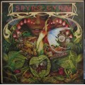 SPYRO GYRA - MORNING DANCE (LP/VINYL)