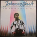 JOHNNY NASH - WHAT A WONDERFUL WORLD (LP/VINYL)