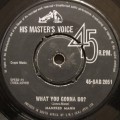 MANFRED MANN - DO WAH DIDDY DIDDY / WHAT YOU GONNA DO? (7 SINGLE/VINYL)