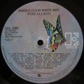 MOSE ALLISON - MIDDLE CLASS WHITE BOY  (LP/VINYL)