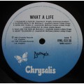 DIVINYLS - WHAT A LIFE (LP/VINYL)