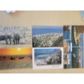 South Africa Postcard lot of 280+ unused postcards fro use in shop for tourists