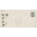 South Africa 1992 Succulent stamps used on 2 covers as postage dues