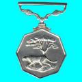 Southern Africa Full Size Medal Without Ribbon